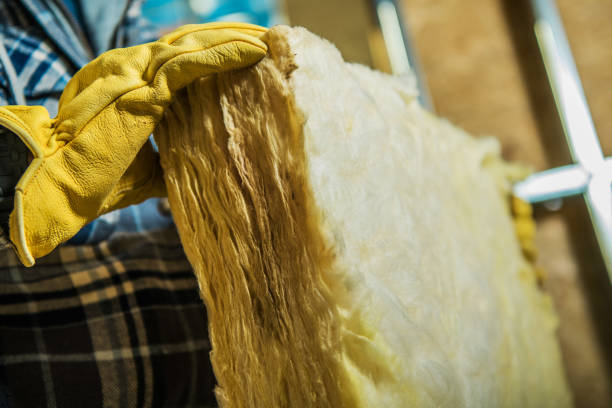 Best Blown-in Insulation in Westminster, LA
