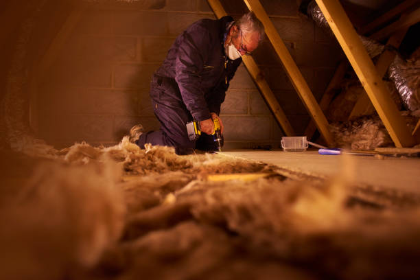 Best Spray Foam Insulation in Westminster, LA